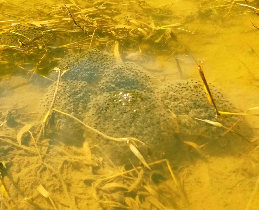 人のその道 番外編 Endless March 58-1