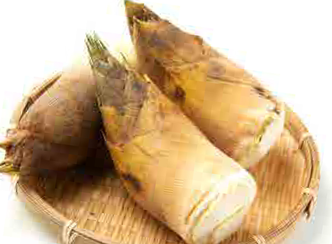 「 たけのこ 」