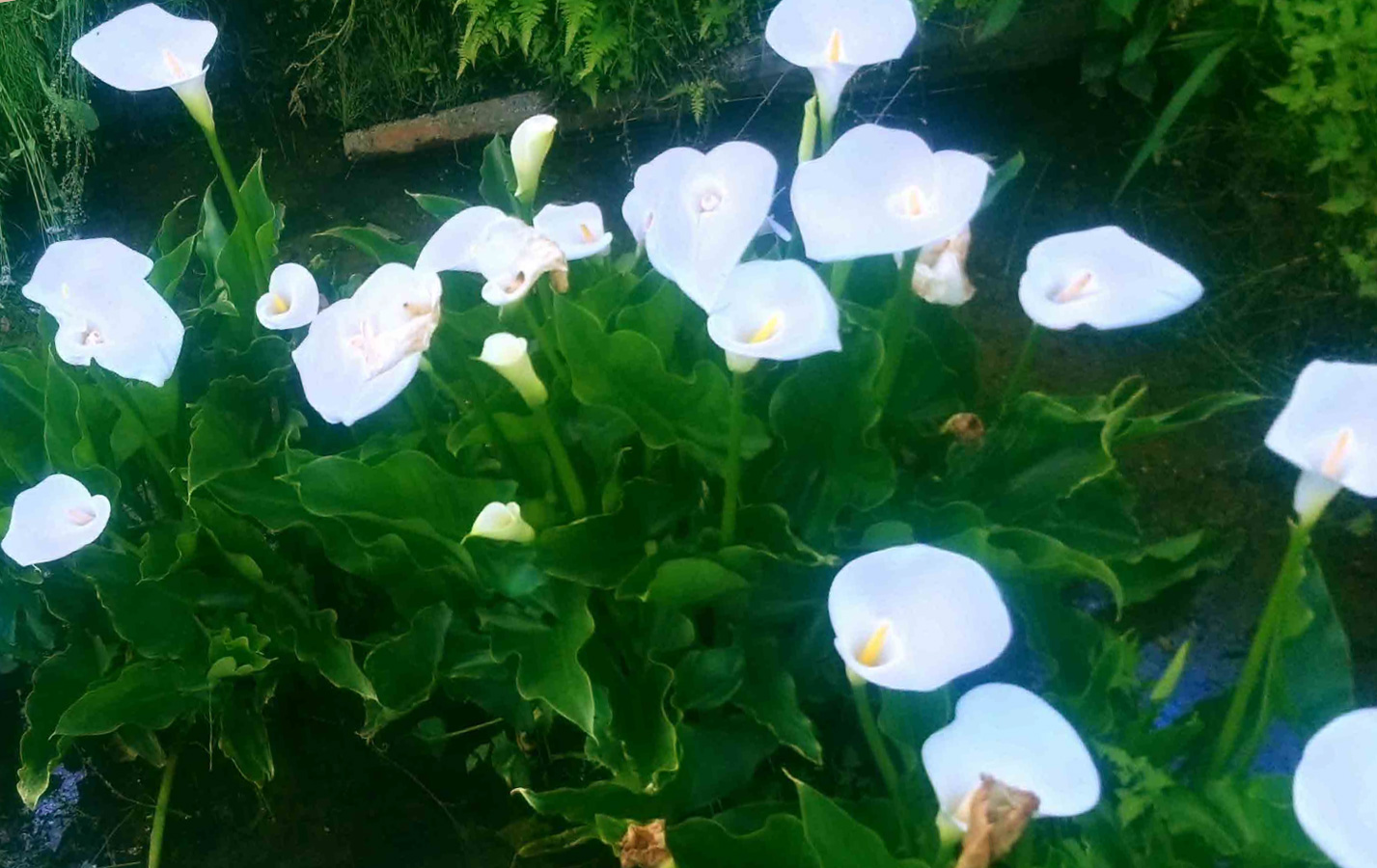 人のその道 番外編 Endless March 60-1