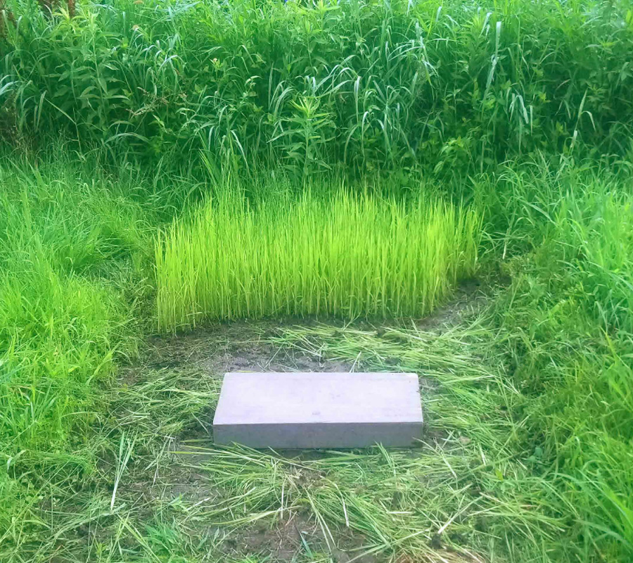 人のその道 番外編 Endless March 62-1