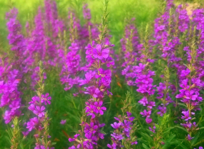 人のその道 番外編 Endless March 63-1