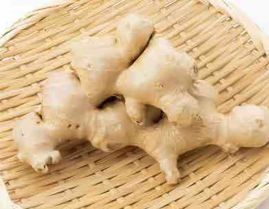 「 ひね生姜 」