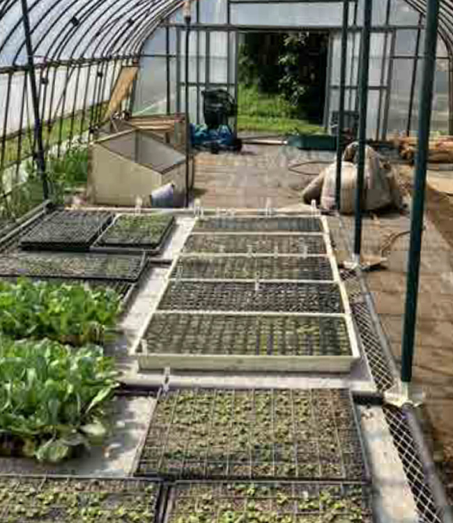 今は種まき＆育苗が中心