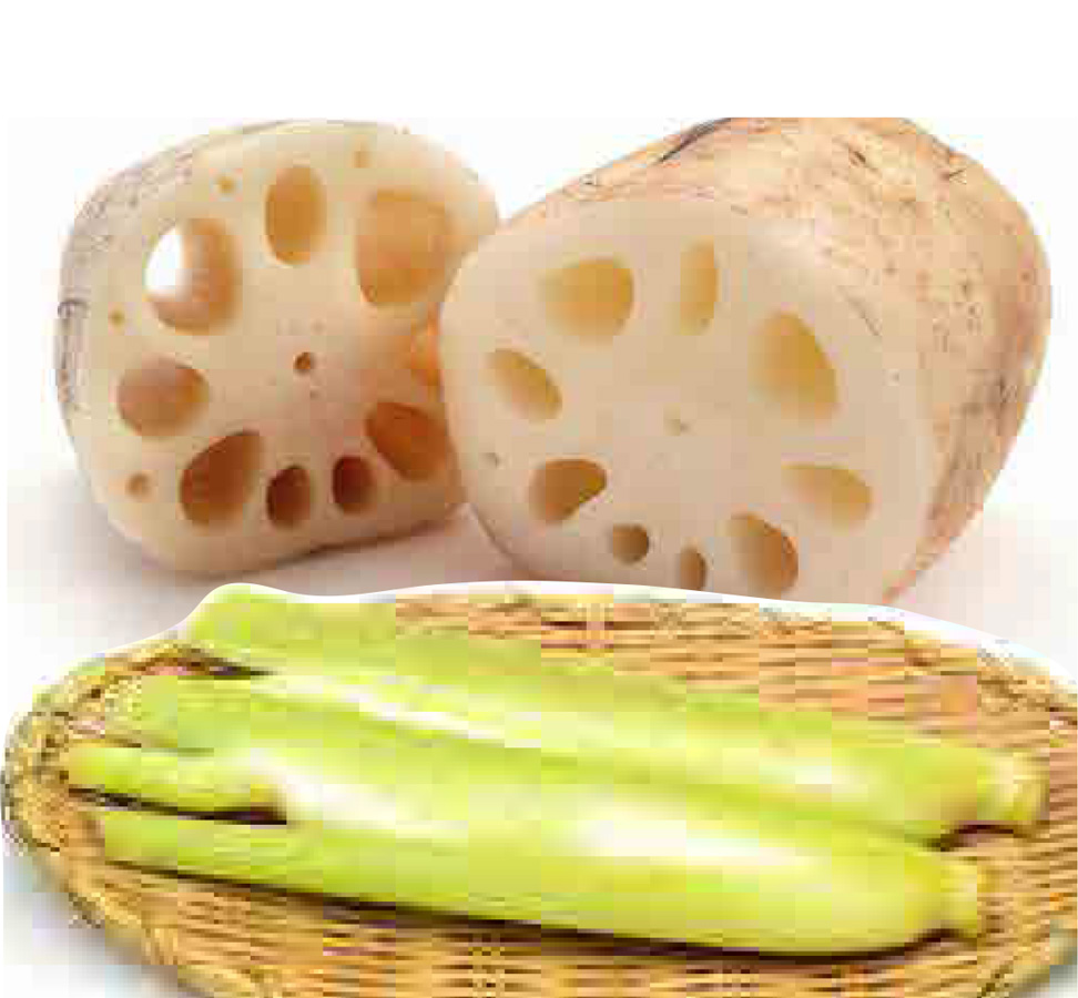 「 れんこん・マコモダケ 」