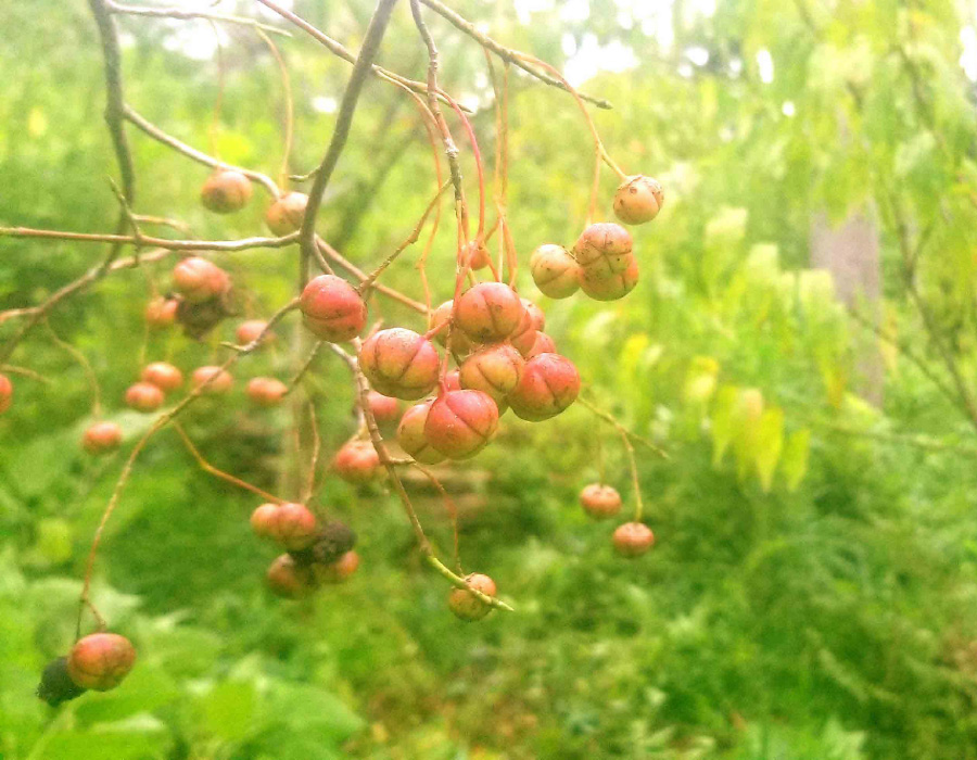 人のその道 番外編 Endless March 65-1